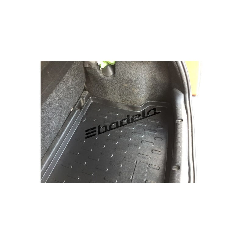 Renault Clio 2 Hatchback 1999-2008 Siyah 3D Kauçuk Kokusuz Bagaj Havuzu